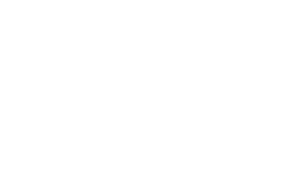 Bud_Light_logo_white