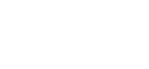 The_North_Face_logo_white